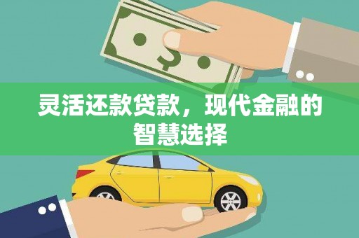 苍南灵活还款贷款，现代金融的智慧选择
