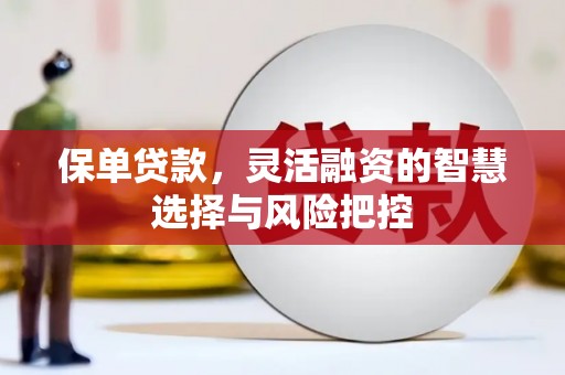 苍南保单贷款，灵活融资的智慧选择与风险把控