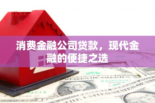 苍南消费金融公司贷款，现代金融的便捷之选