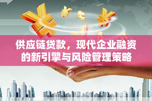 苍南供应链贷款，现代企业融资的新引擎与风险管理策略