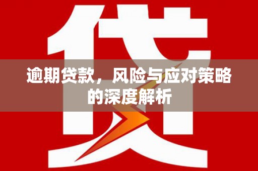 苍南逾期贷款，风险与应对策略的深度解析
