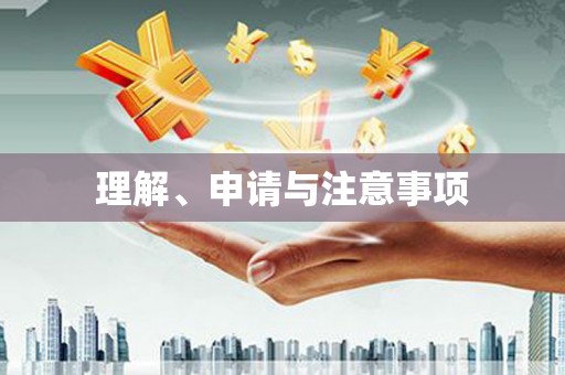 苍南理解、申请与注意事项