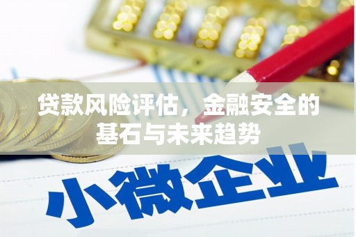 苍南贷款风险评估，金融安全的基石与未来趋势