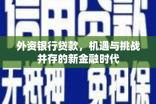 苍南外资银行贷款，机遇与挑战并存的新金融时代