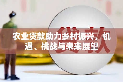 苍南农业贷款助力乡村振兴，机遇、挑战与未来展望