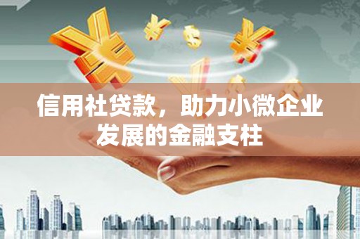 苍南信用社贷款，助力小微企业发展的金融支柱