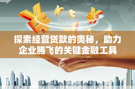 苍南探索经营贷款的奥秘，助力企业腾飞的关键金融工具