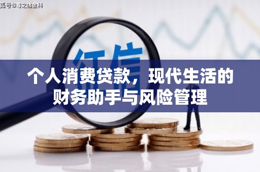 苍南个人消费贷款，现代生活的财务助手与风险管理