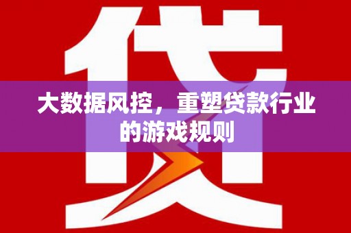 苍南大数据风控，重塑贷款行业的游戏规则