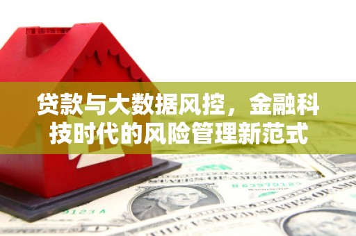 苍南贷款与大数据风控，金融科技时代的风险管理新范式