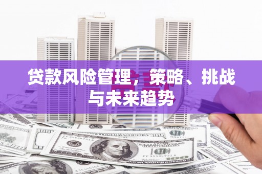 苍南贷款风险管理，策略、挑战与未来趋势