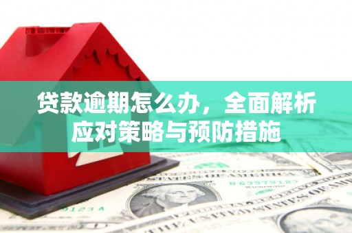 苍南贷款逾期怎么办，全面解析应对策略与预防措施