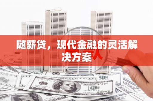 苍南随薪贷，现代金融的灵活解决方案