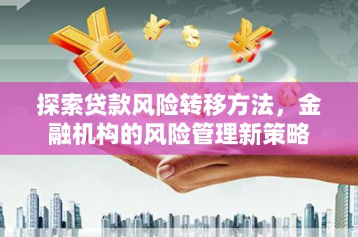 苍南探索贷款风险转移方法，金融机构的风险管理新策略