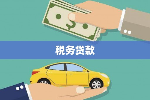 苍南税务贷款