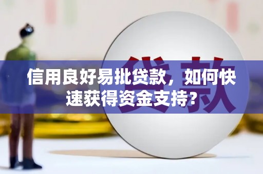 苍南信用良好易批贷款，如何快速获得资金支持？