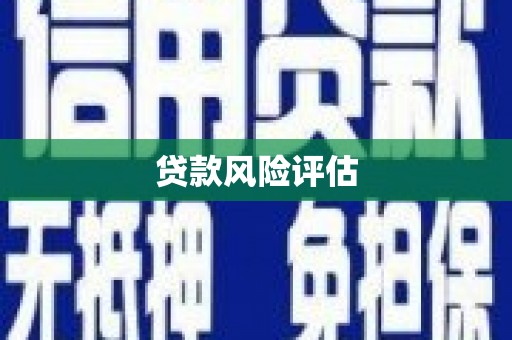 苍南贷款风险评估