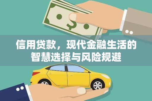 苍南信用贷款，现代金融生活的智慧选择与风险规避