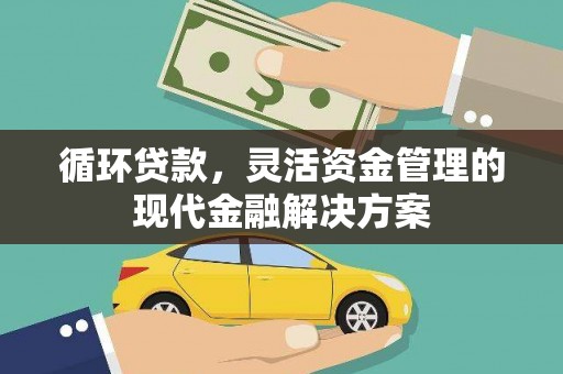 苍南循环贷款，灵活资金管理的现代金融解决方案