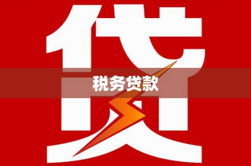 苍南税务贷款