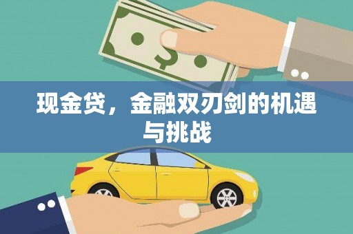 苍南现金贷，金融双刃剑的机遇与挑战