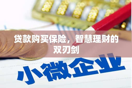 苍南贷款购买保险，智慧理财的双刃剑