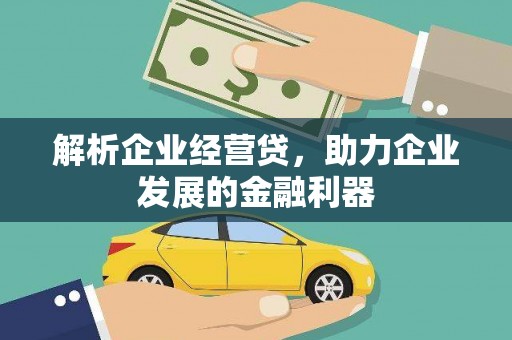 苍南解析企业经营贷，助力企业发展的金融利器