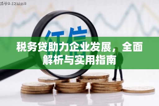 苍南税务贷助力企业发展，全面解析与实用指南