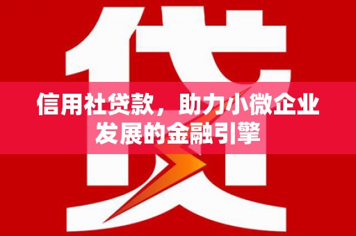 苍南信用社贷款，助力小微企业发展的金融引擎