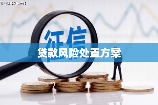 苍南贷款风险处置方案