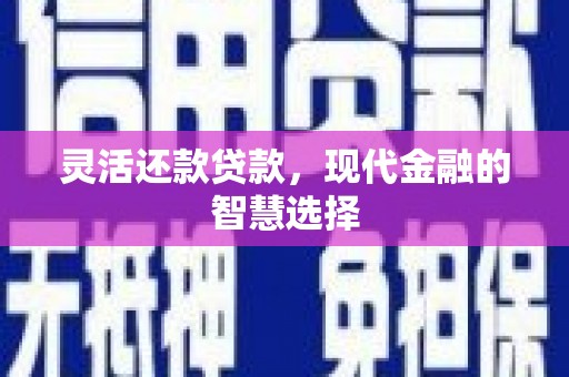 苍南灵活还款贷款，现代金融的智慧选择