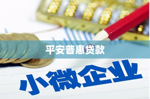 苍南平安普惠贷款