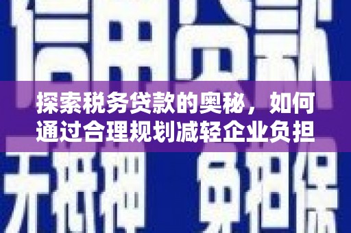 苍南探索税务贷款的奥秘，如何通过合理规划减轻企业负担