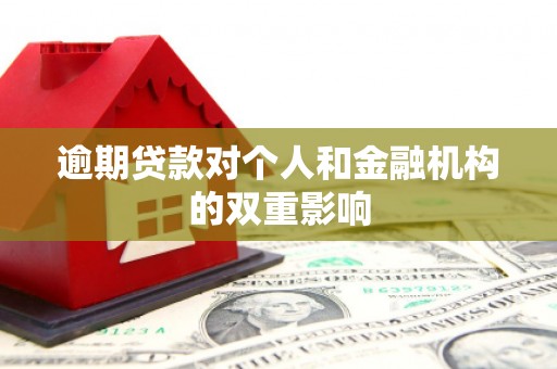 苍南逾期贷款对个人和金融机构的双重影响