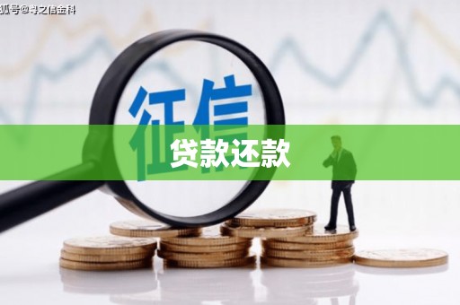 苍南贷款还款