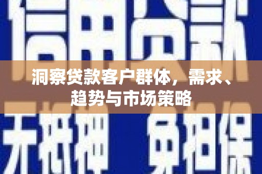 苍南洞察贷款客户群体，需求、趋势与市场策略