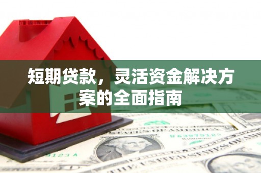 苍南短期贷款，灵活资金解决方案的全面指南