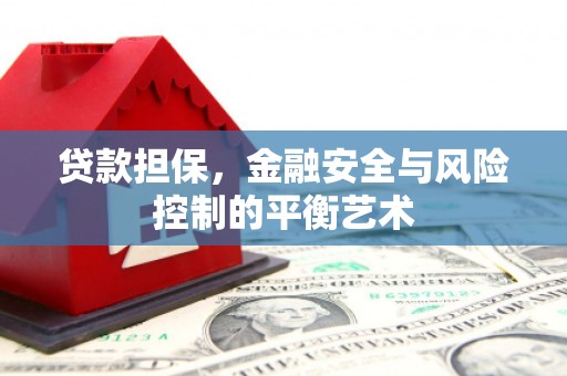 苍南贷款担保，金融安全与风险控制的平衡艺术
