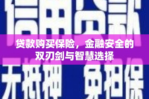 苍南贷款购买保险，金融安全的双刃剑与智慧选择