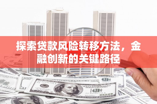 苍南探索贷款风险转移方法，金融创新的关键路径