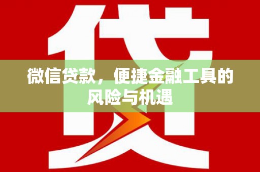 苍南微信贷款，便捷金融工具的风险与机遇