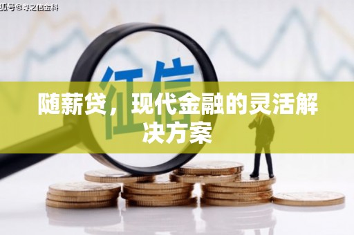 苍南随薪贷，现代金融的灵活解决方案