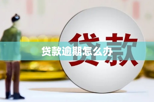 苍南贷款逾期怎么办