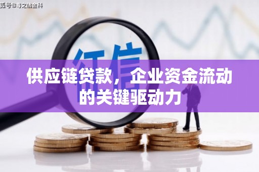苍南供应链贷款，企业资金流动的关键驱动力
