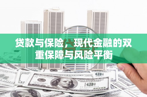 苍南贷款与保险，现代金融的双重保障与风险平衡