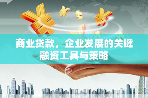 苍南商业贷款，企业发展的关键融资工具与策略