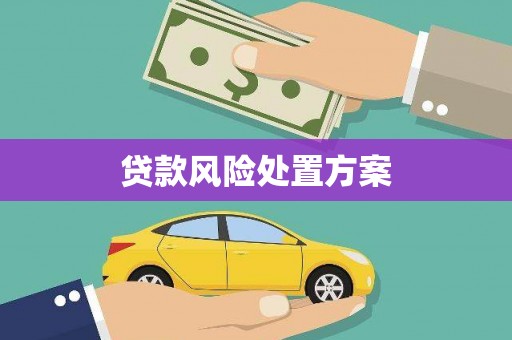 苍南贷款风险处置方案