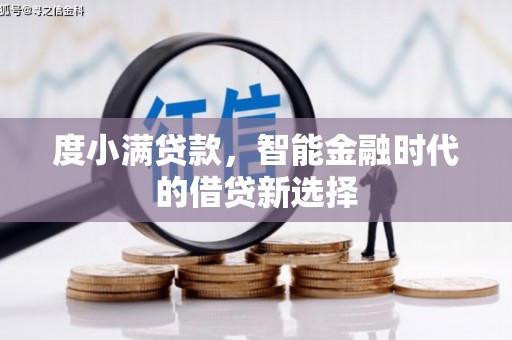 苍南度小满贷款，智能金融时代的借贷新选择