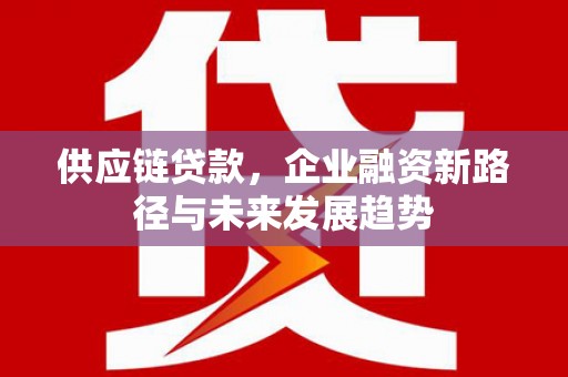 苍南供应链贷款，企业融资新路径与未来发展趋势