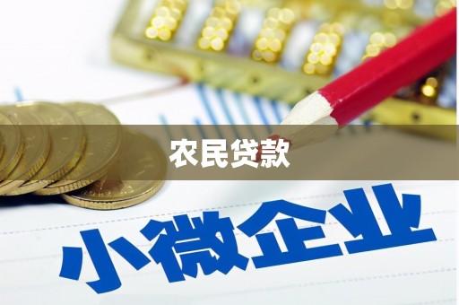 苍南农民贷款